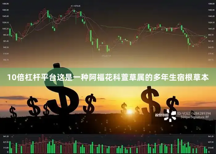 10倍杠杆平台这是一种阿福花科萱草属的多年生宿根草本