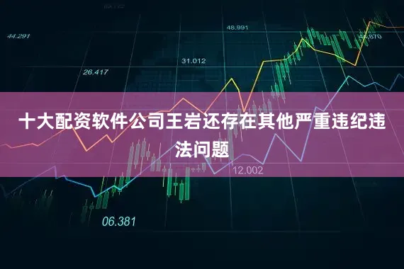 十大配资软件公司王岩还存在其他严重违纪违法问题